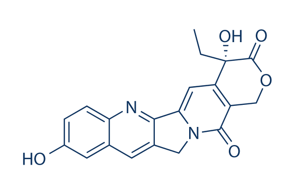 (S)-10-Hydroxycamptothecin