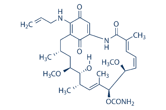 Tanespimycin (17-AAG)