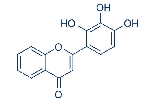 2-D08