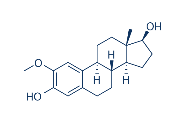 2-Methoxyestradiol (2-MeOE2)