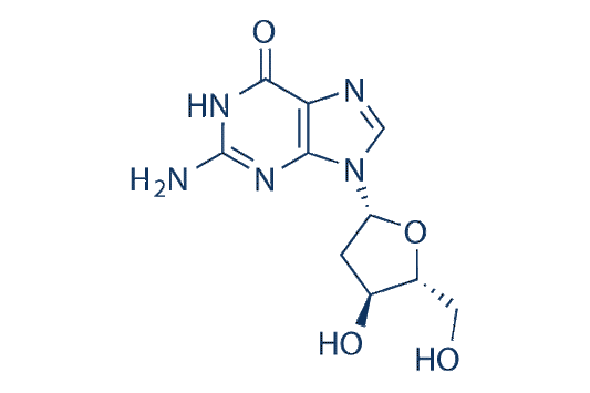 2'-deoxyguanosine