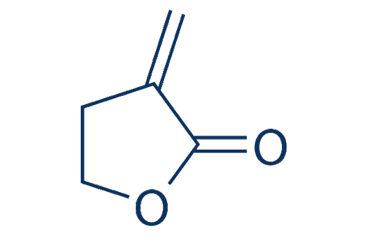 2-Methylenebutyrolactone