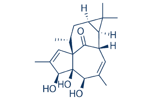 20-Deoxyingenol