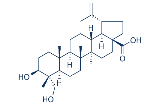 23-Hydroxybetulinic acid
