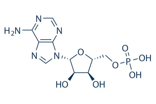 5'-Adenylic acid