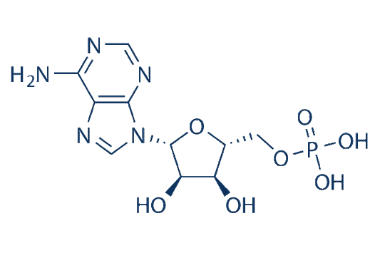 5'-Adenylic acid