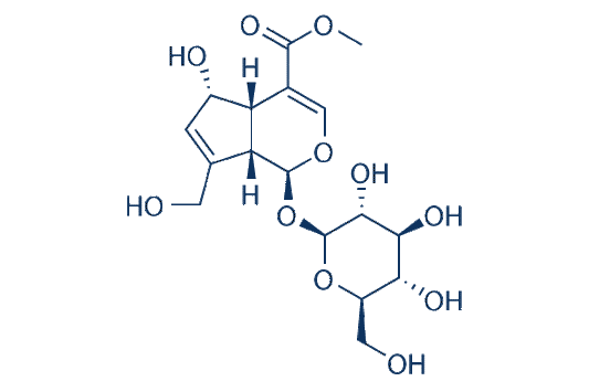 6α-Hydroxygeniposide