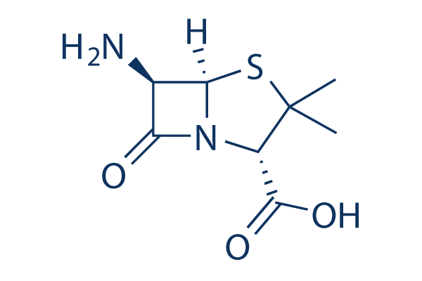 6-Aminopenicillanic acid