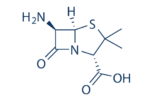 6-Aminopenicillanic acid