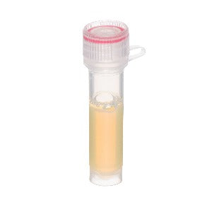 Protein G - 60nm Silver Conjugate
