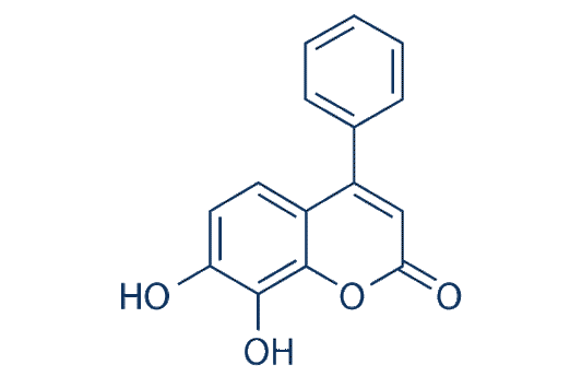 7,8-Dihydroxy-4-phenylcoumarin
