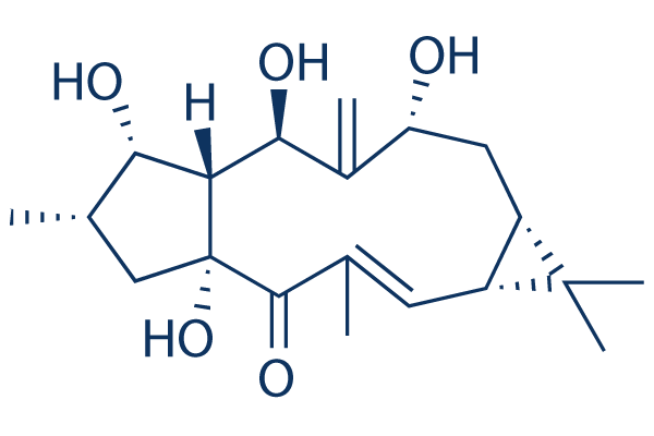 7β-Hydroxylathyrol