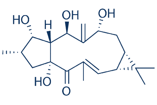 7β-Hydroxylathyrol