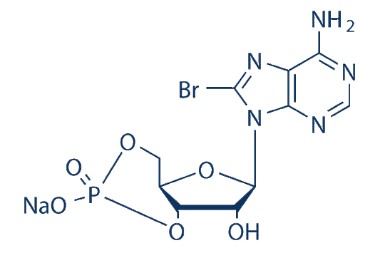 8-Bromo-cAMP (8-Br-cAMP)Sodium Salt