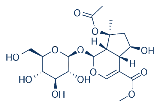 8-O-acetyl shanzhiside methyl ester