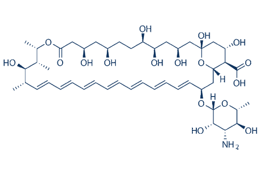 Amphotericin B