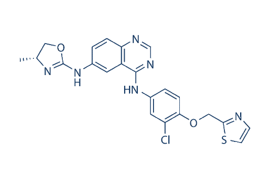 Varlitinib