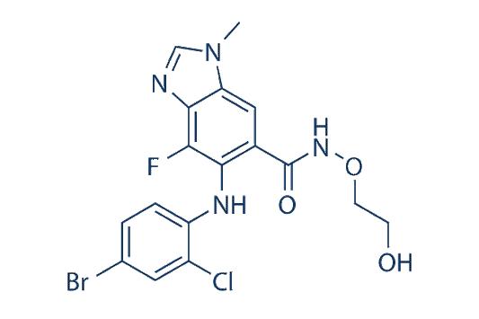 AZD6244 (Selumetinib)