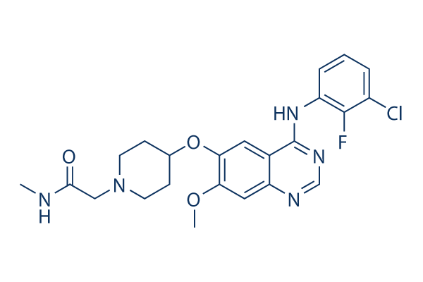 Sapitinib (AZD8931)