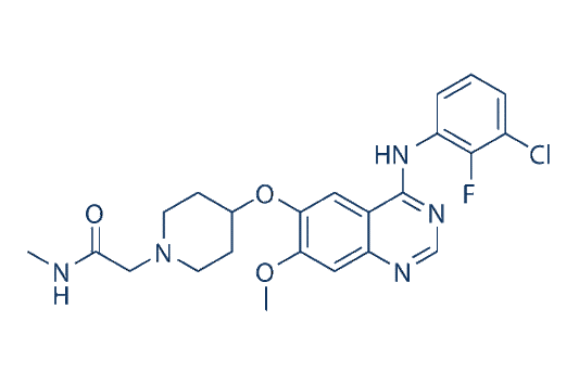 Sapitinib (AZD8931)