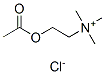 Acetylcholine Chloride