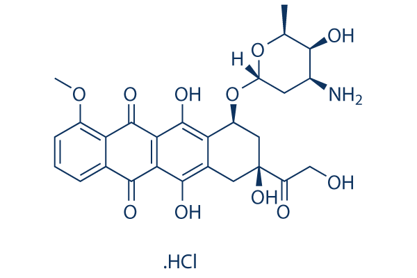 Doxorubicin (Adriamycin)Hydrochloride