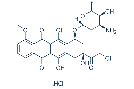 Doxorubicin (Adriamycin)Hydrochloride
