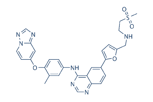 HER2-Inhibitor-1