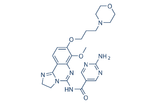 Copanlisib (BAY 80-6946)