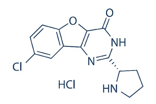 XL413 Hydrochloride (BMS-863233)