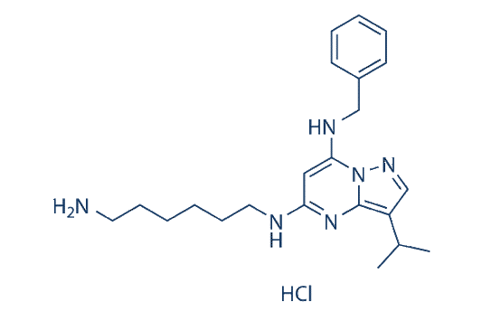 BS-181 HCl