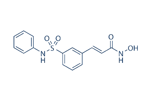 Belinostat (PXD101)