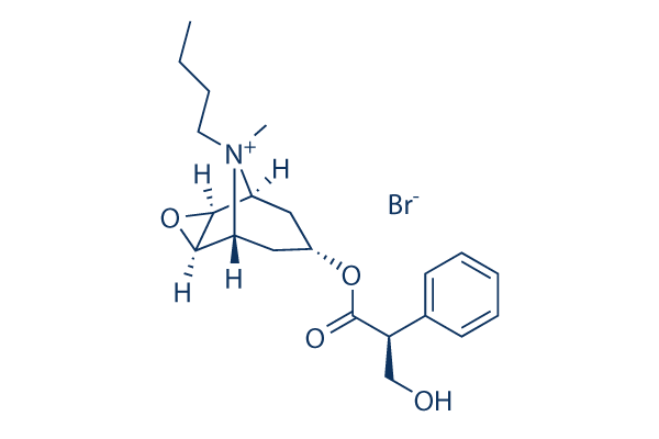 Butylscopolamine Bromide