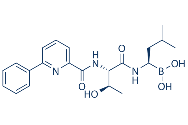 Delanzomib