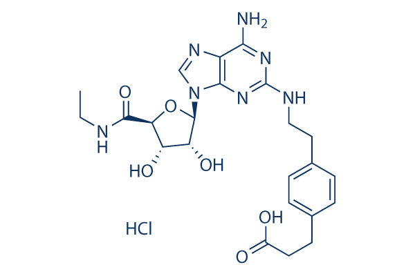 CGS 21680 HCl