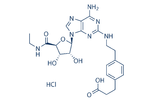 CGS 21680 HCl
