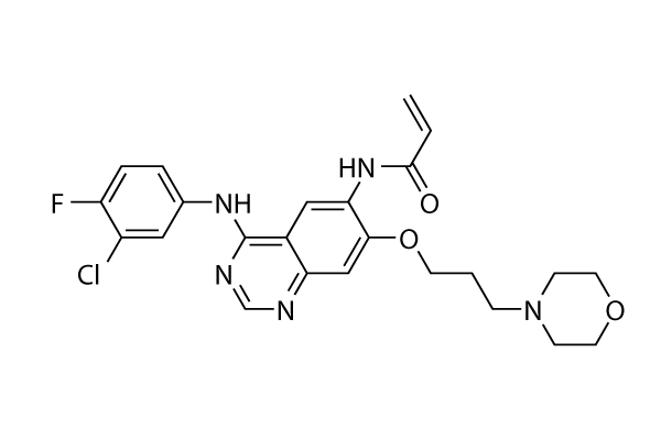 Canertinib (CI-1033)
