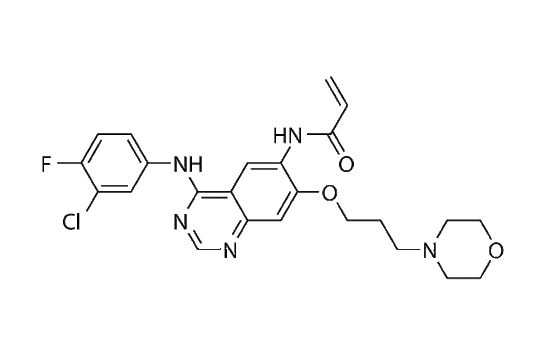 Canertinib (CI-1033)