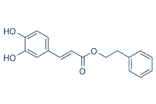 Caffeic Acid Phenethyl Ester