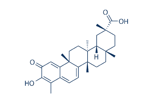 Celastrol (Tripterine)