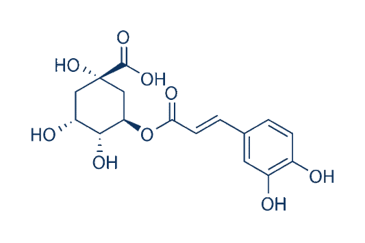 Chlorogenic Acid