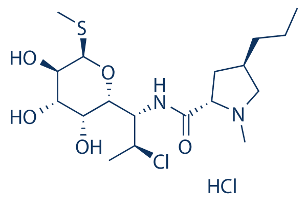 Clindamycin HCl