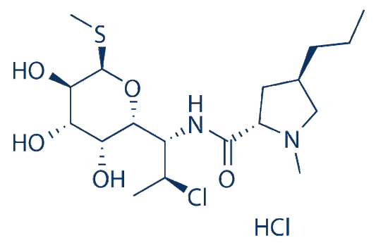 Clindamycin HCl