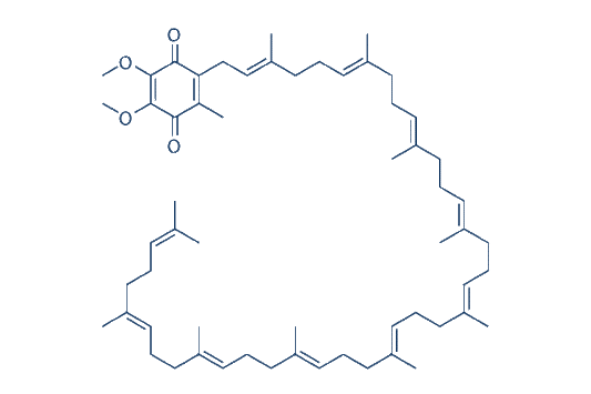 Coenzyme Q10 (CoQ10)