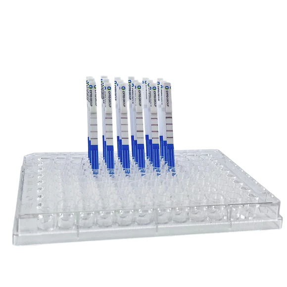 Rabbit IgG Fc Lateral Flow Dipstick Assay Kit