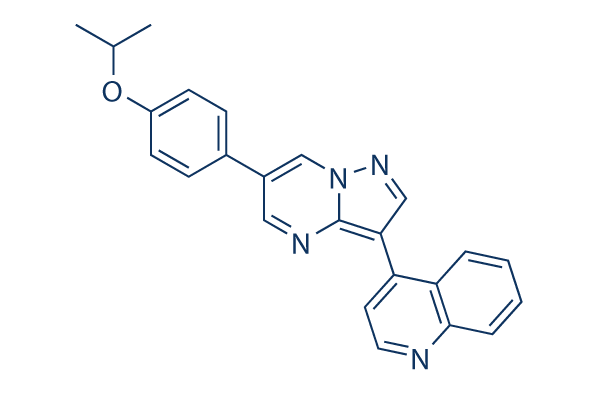 DMH1