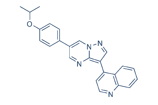 DMH1