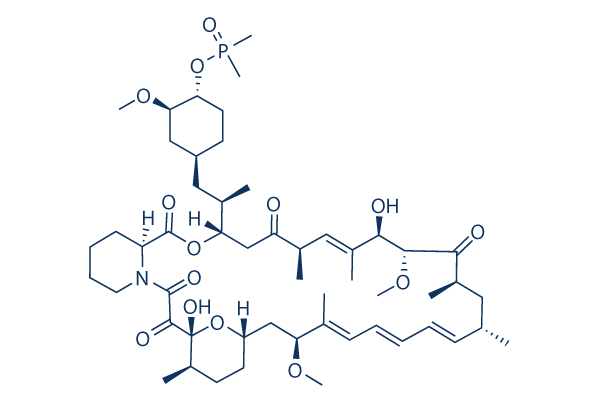Ridaforolimus (Deforolimus, MK-8669)