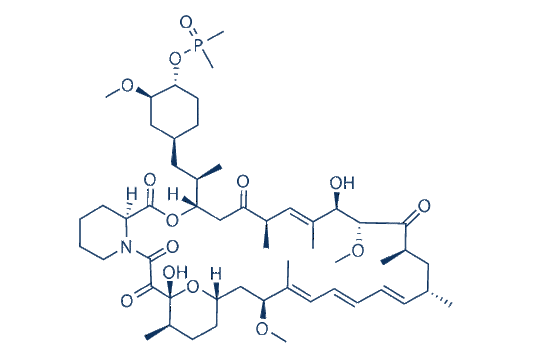 Ridaforolimus (Deforolimus, MK-8669)