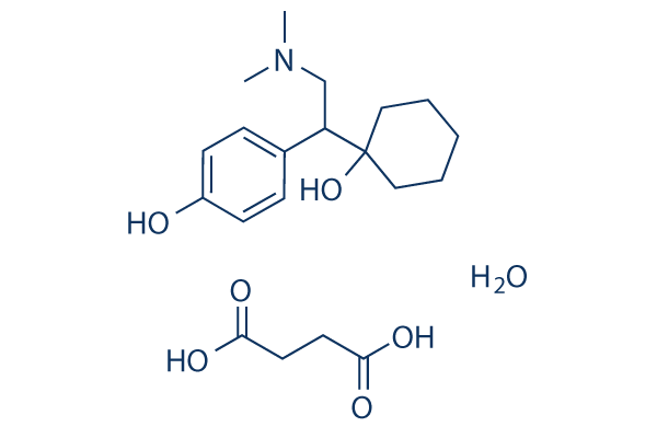 Desvenlafaxine Succinate hydrate